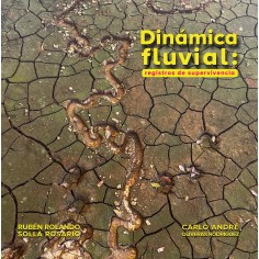 Dinámica fluvial: registros...